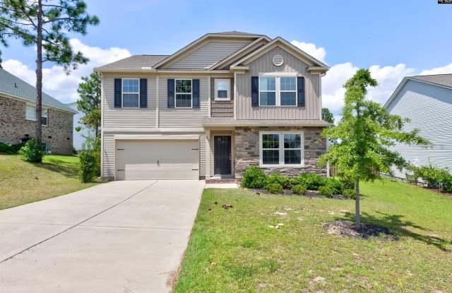 905 Blue Willow Way - 905 Blue Willow Way, Richland County, SC 29229