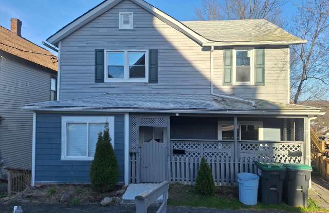 732 Delaware Street - 732 Delaware Street, Forest City, PA 18421