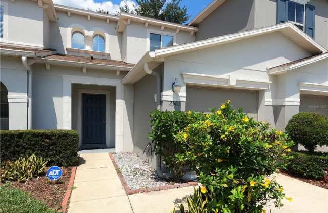 2581 AVENTURINE STREET