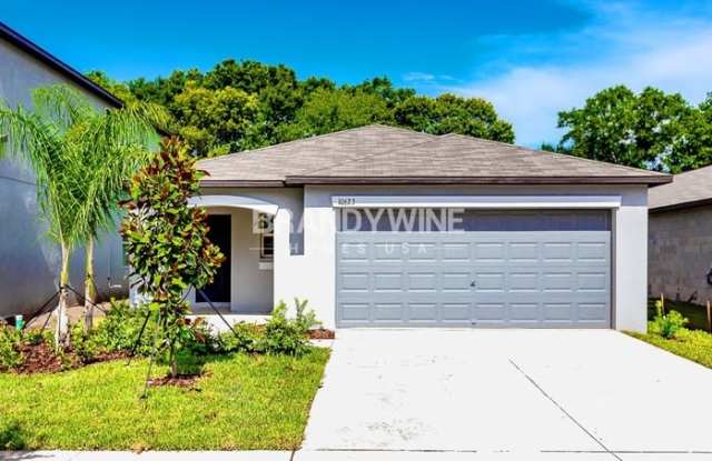 10619 Sweet Sapling Street - 10619 Sweet Sapling Street, Riverview, FL 33578