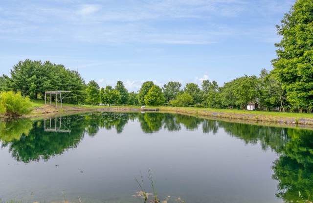 Cheerful 6-Bedroom Villa with fishing pond.