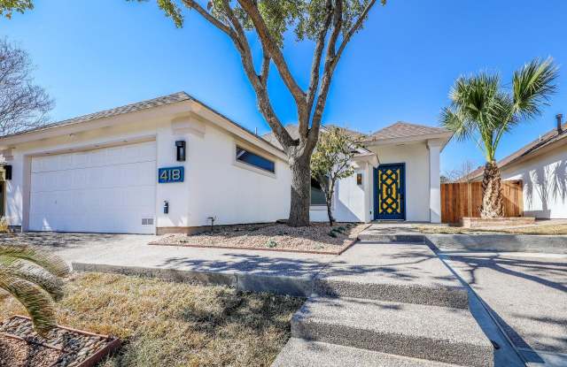 418 Cinnamon Teal Lp