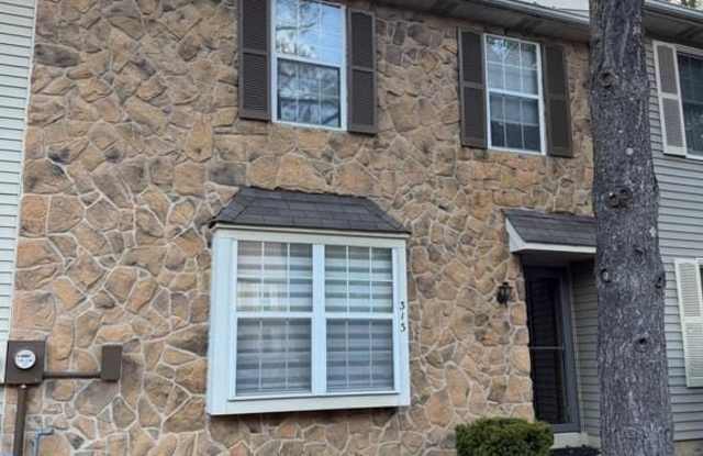 Photo of 313 FOUNTAIN HALL COURT