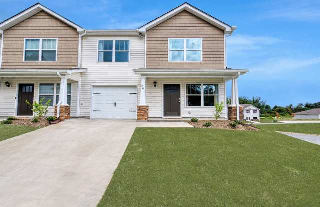 Spacious Newly Built Townhome for Rent