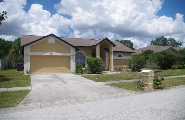 3 Bedroom / 2 Bath Valrico Home