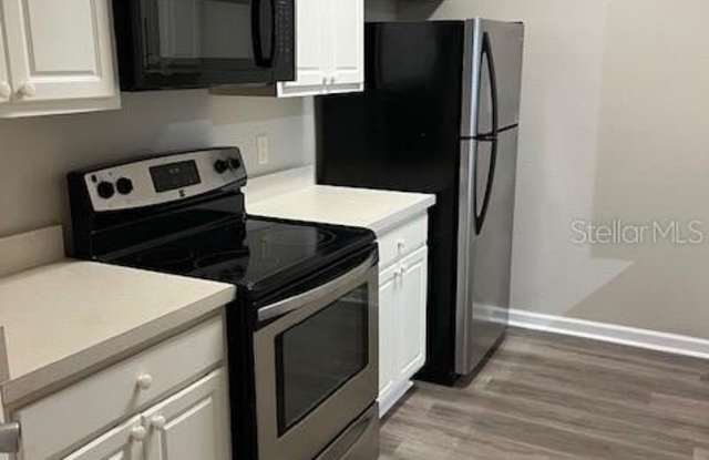 580 BRANTLEY TERRACE WAY