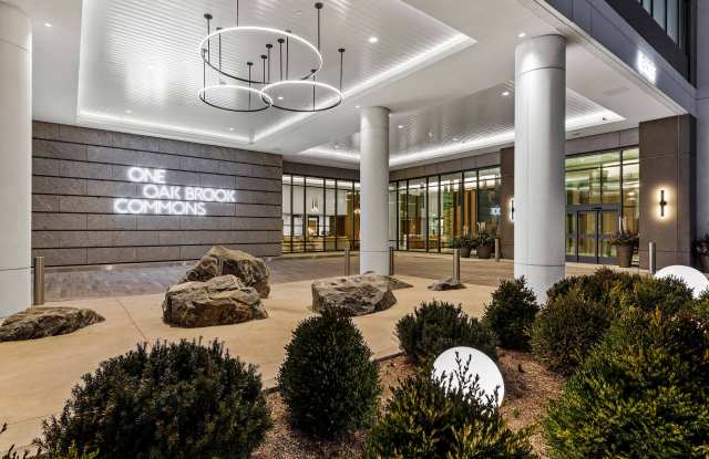 Photo of One Oak Brook Commons