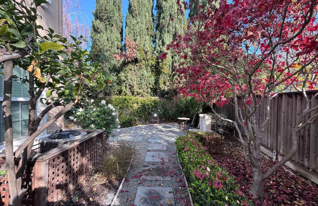 Willow Glen- Beautiful corner unit townhome with a private backyard