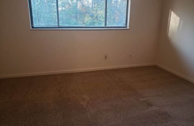 Charming 1BR Apartment – Minutes from Nashville