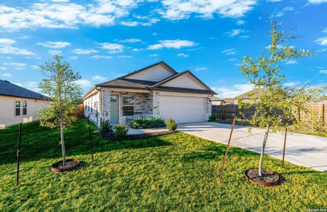 Photo of 155 Globe Mallow