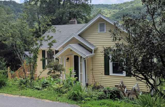 Montreat Ground Level Apartment!