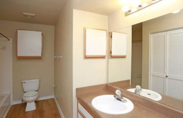 11910 Orsinger Ln, #1294