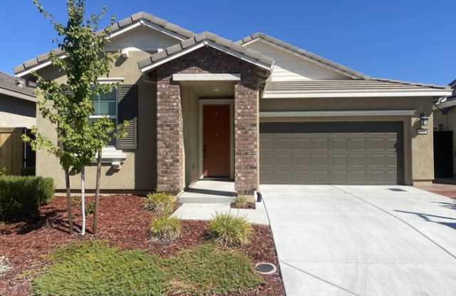 1419 Cheetah Street
