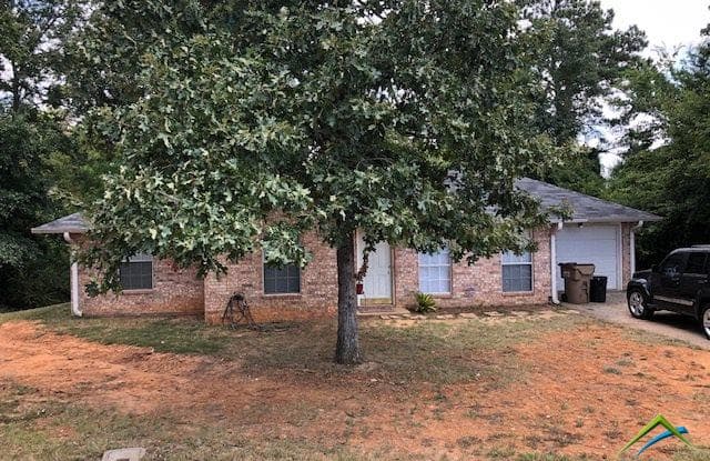 10487 WESTRIDGE - 10487 Westridge St, Smith County, TX 75709