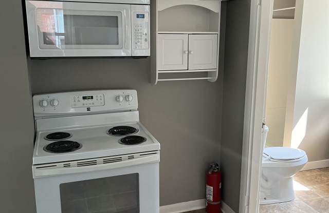 538 Alexander Avenue #1