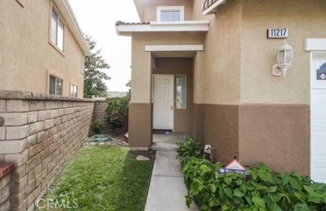 11217 Amiata Drive