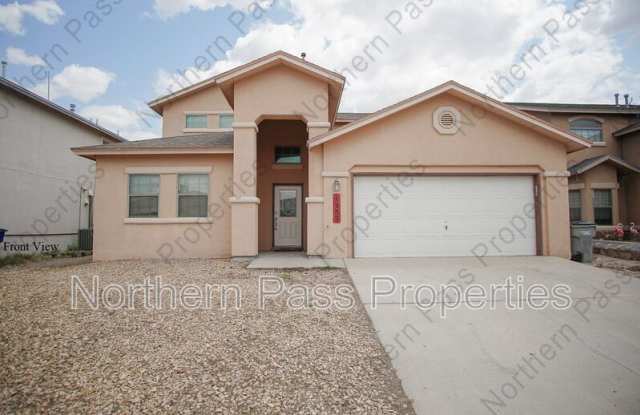 Photo of 1532 Century Plant