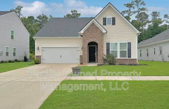 302 Witch Hazel Street - 302 Witch Hazel Street, Berkeley County, SC 29486