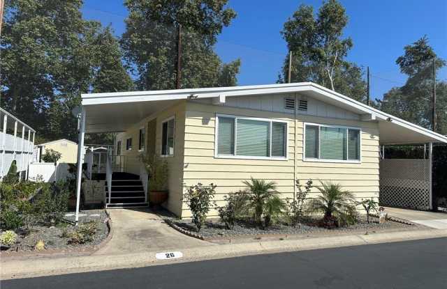 24921 Muirlands