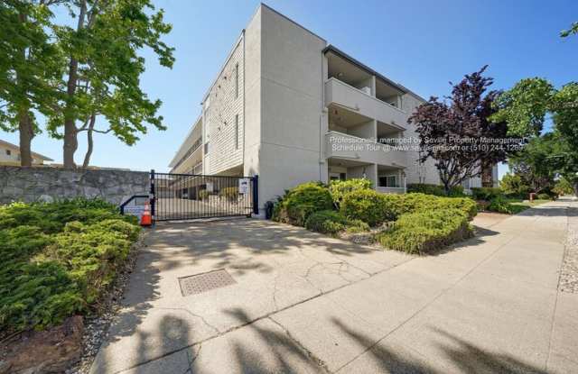 325 Kitty Hawk