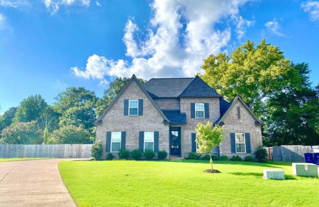 8629 Birnham Cove - 8629 Birnham Cv, Olive Branch, MS 38654