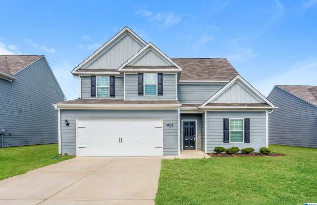 375 CLOVER CIRCLE - 375 Clover Circle, Odenville, AL 35146