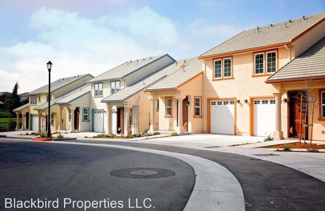 41 Blackbird Circle