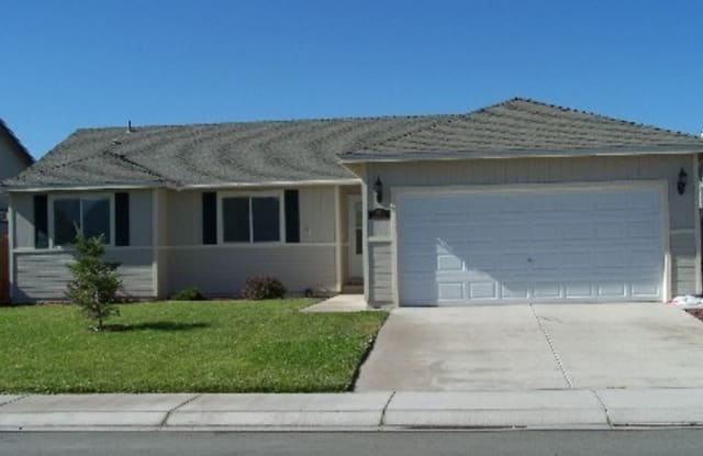 243 Emigrant Way - 243 Emigrant Way, Fernley, NV 89408