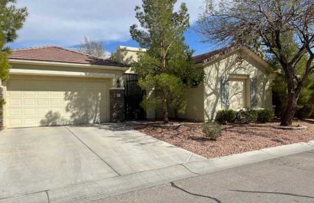 SIngle Story with POOL - 10572 Beech Creek Street, Enterprise, NV 89141