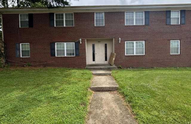 441 Lenney Drive