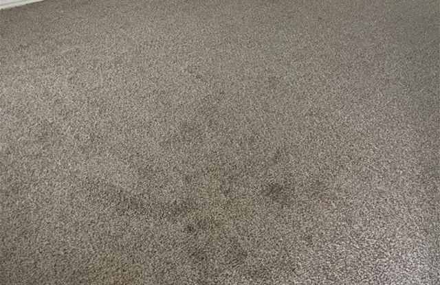 4403 Mattie Drive unit: C