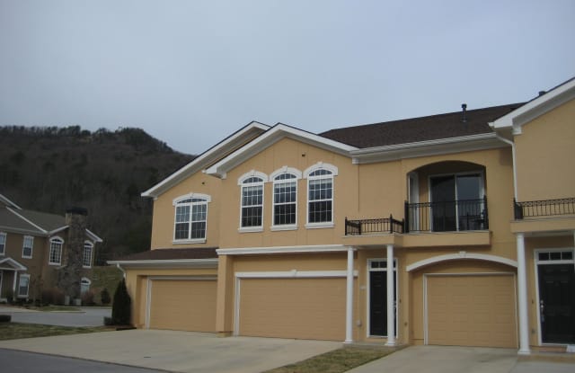 311 Renaissance Ct - 311 Renaissance Ct, Chattanooga, TN 37419