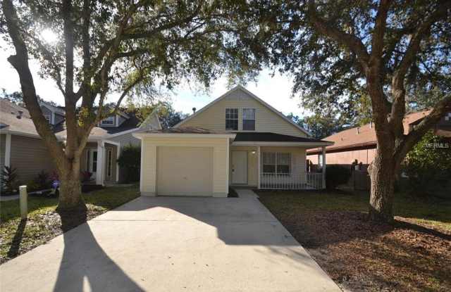 5803 MEADOWPARK PLACE - 5803 Meadowpark Place, Fish Hawk, FL 33547