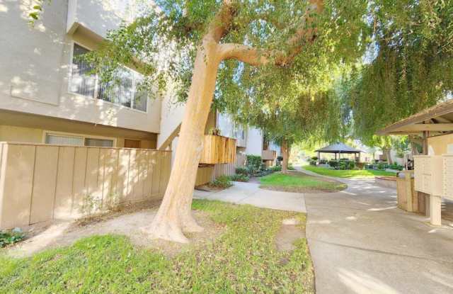 360 Auburn Way