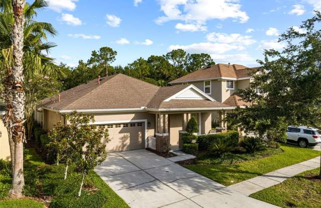 20074 HERITAGE POINT DRIVE - 20074 Heritage Point Drive, Tampa, FL 33647