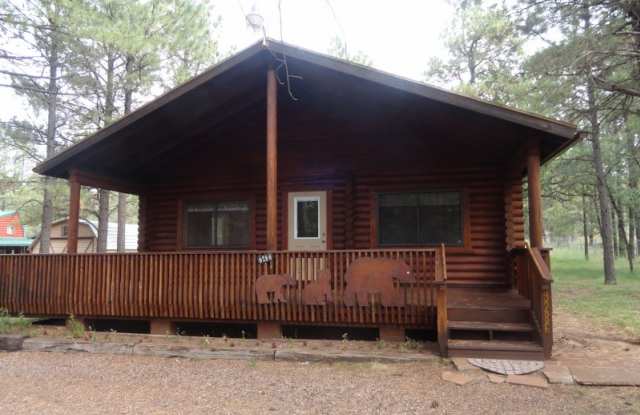9286 Grizzly Bear Rd - 9286 Grizzly Bear Road, Navajo County, AZ 85929