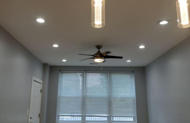 3925 South Indiana Avenue - 1