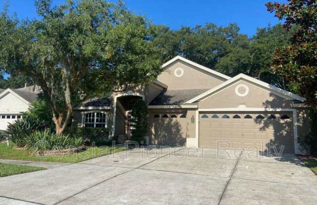 10542 San Travaso Drive - 10542 San Travaso Drive, Hillsborough County, FL 33647