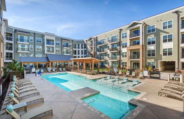 Photo of The Cardinal