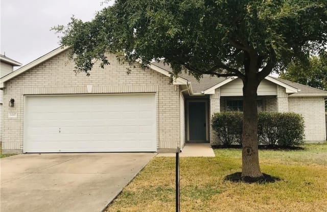 1207  Samson DR - 1207 Samson Drive, Hutto, TX 78634