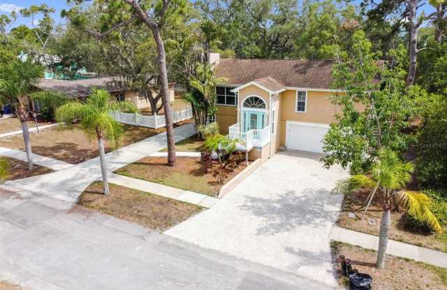 419 KENTUCKY AVENUE - 419 Kentucky Avenue, Palm Harbor, FL 34683