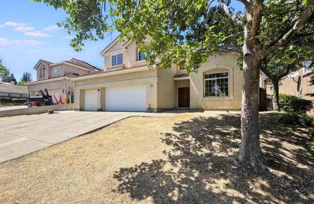 1905 Paradise Peak Court