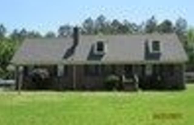 1007 Simpson Ditch Road - 1007 Simpson Ditch Road, Pasquotank County, NC 27909