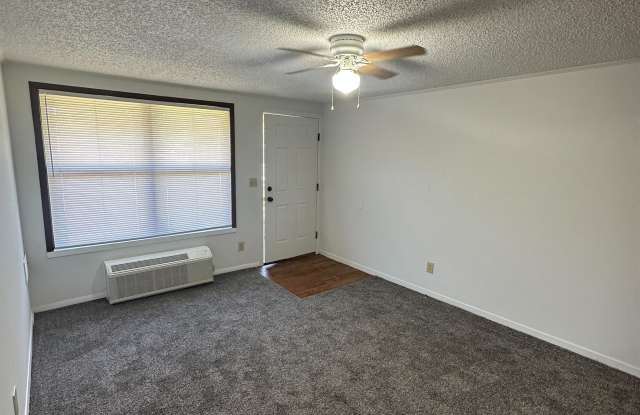 1015 W. Bell St. Apt 17