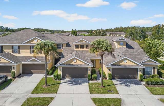 20206 WATER HICKORY PLACE