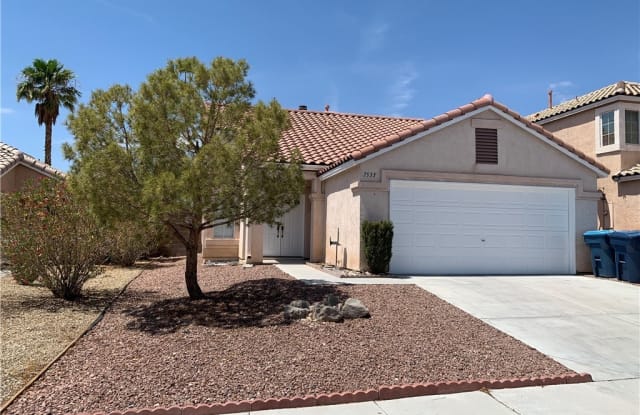 7533 Reindeer Court - 7533 Reindeer Court, Spring Valley, NV 89147