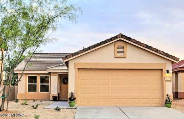 727 W Buffalo Grass Drive