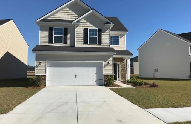 210 Firewheel Court - 210 Firewheel Ct, Berkeley County, SC 29486