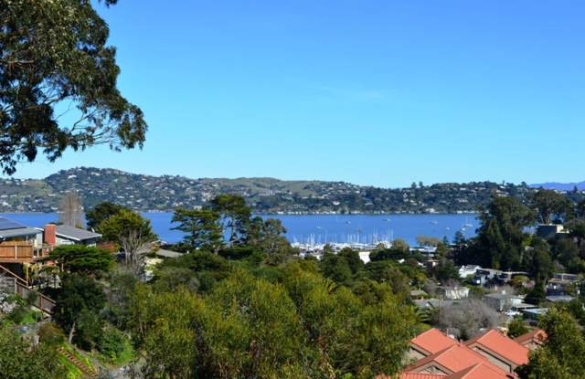 Lovely and Large Sausalito Condo with View! - 79 Lincoln Drive, Sausalito, CA 94965