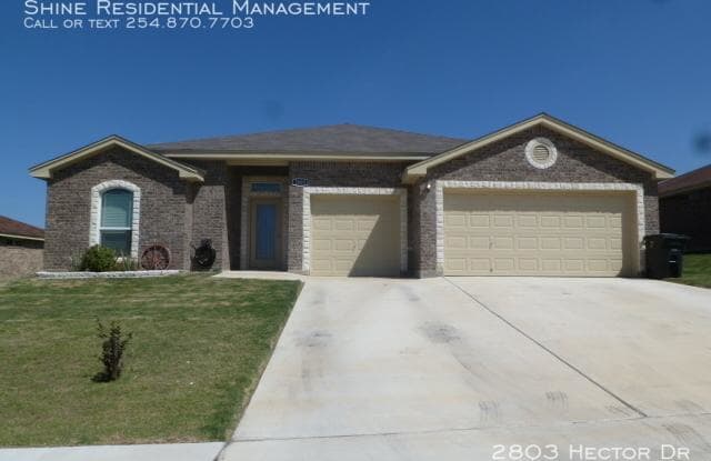 2803 Hector Dr - 2803 Hector Drive, Killeen, TX 76549